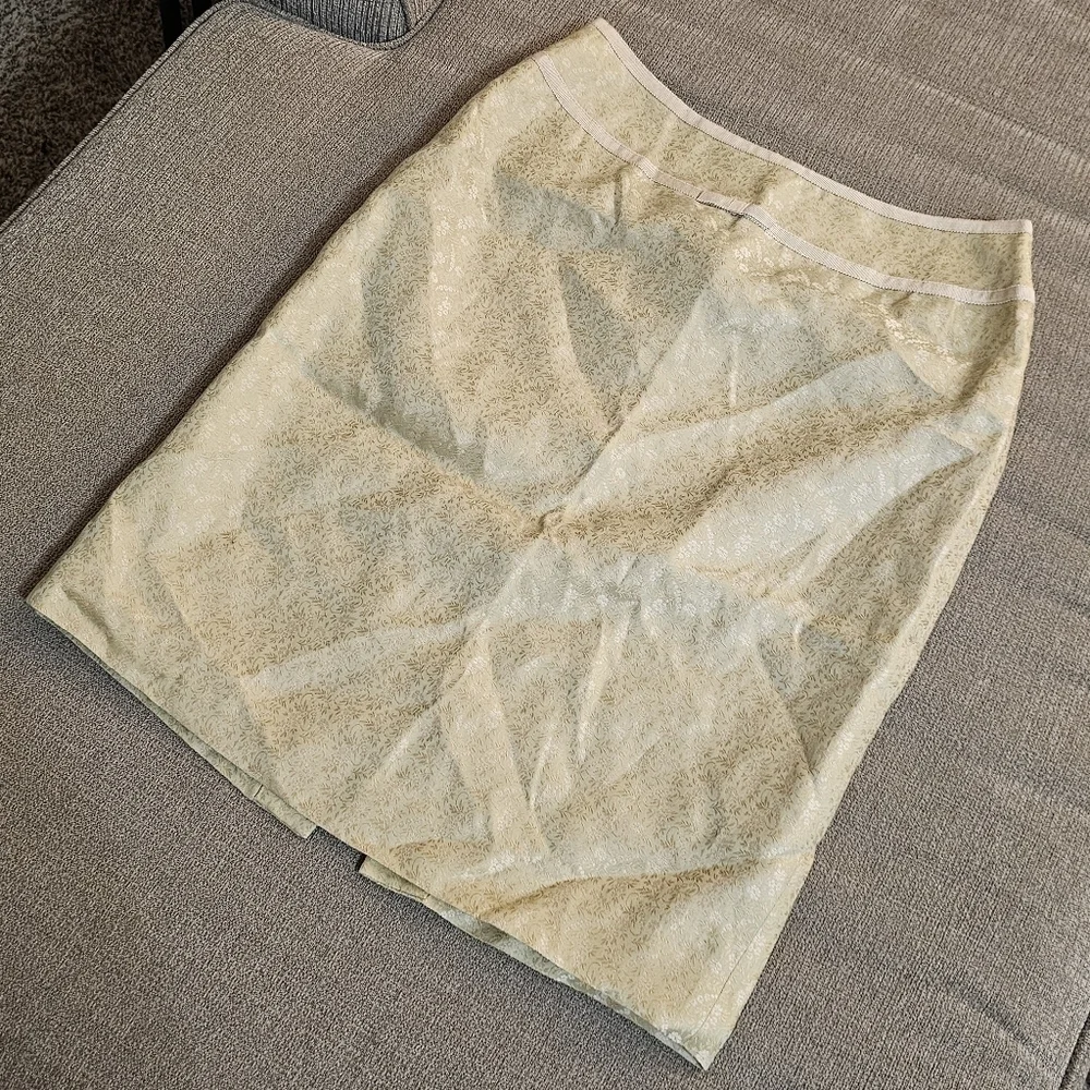 Ann Taylor Pastel Green Gold Silk Blend Delicate Detail Boho Lined Skirt Size 4P